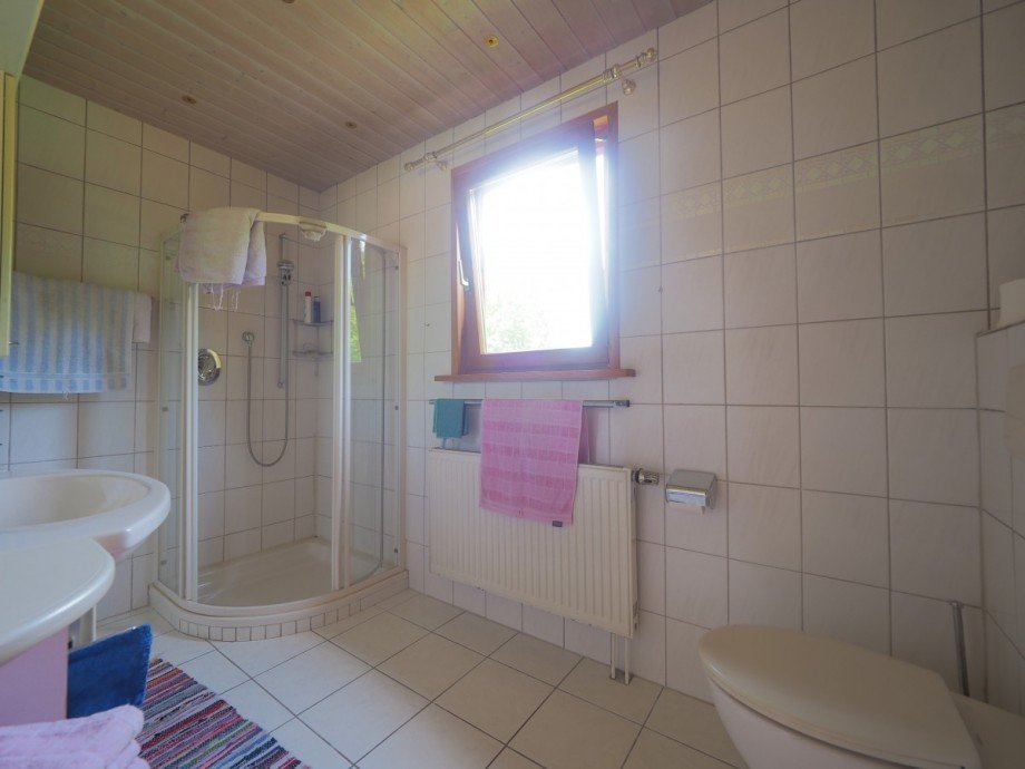 Badezimmer Ferienhaus Bergh�len