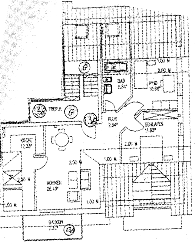 Grundriss_mit 1 mtr. Linie Dachgeschosswohnung Neu-Ulm